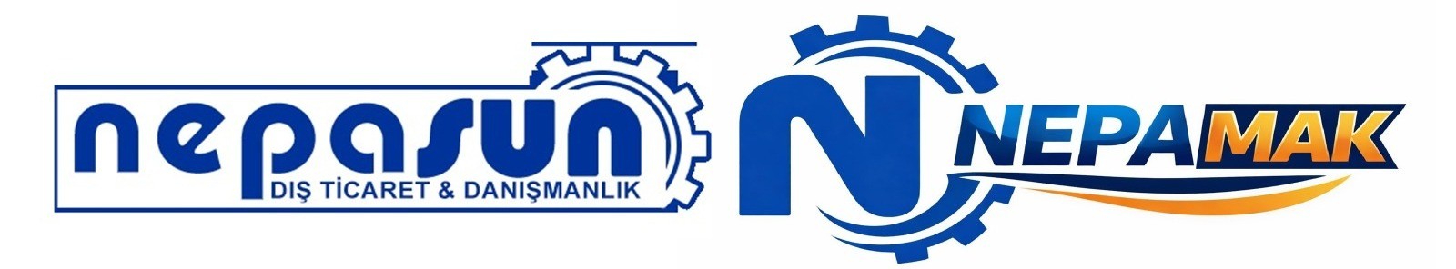 NEPASUN DIŞ TİCARET VE DANIŞMANLIK